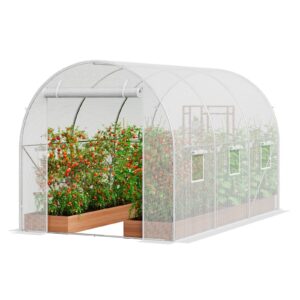 Walk-in Tunnel Greenhouse, 9.6x6.4x6.2 ft Hoop House