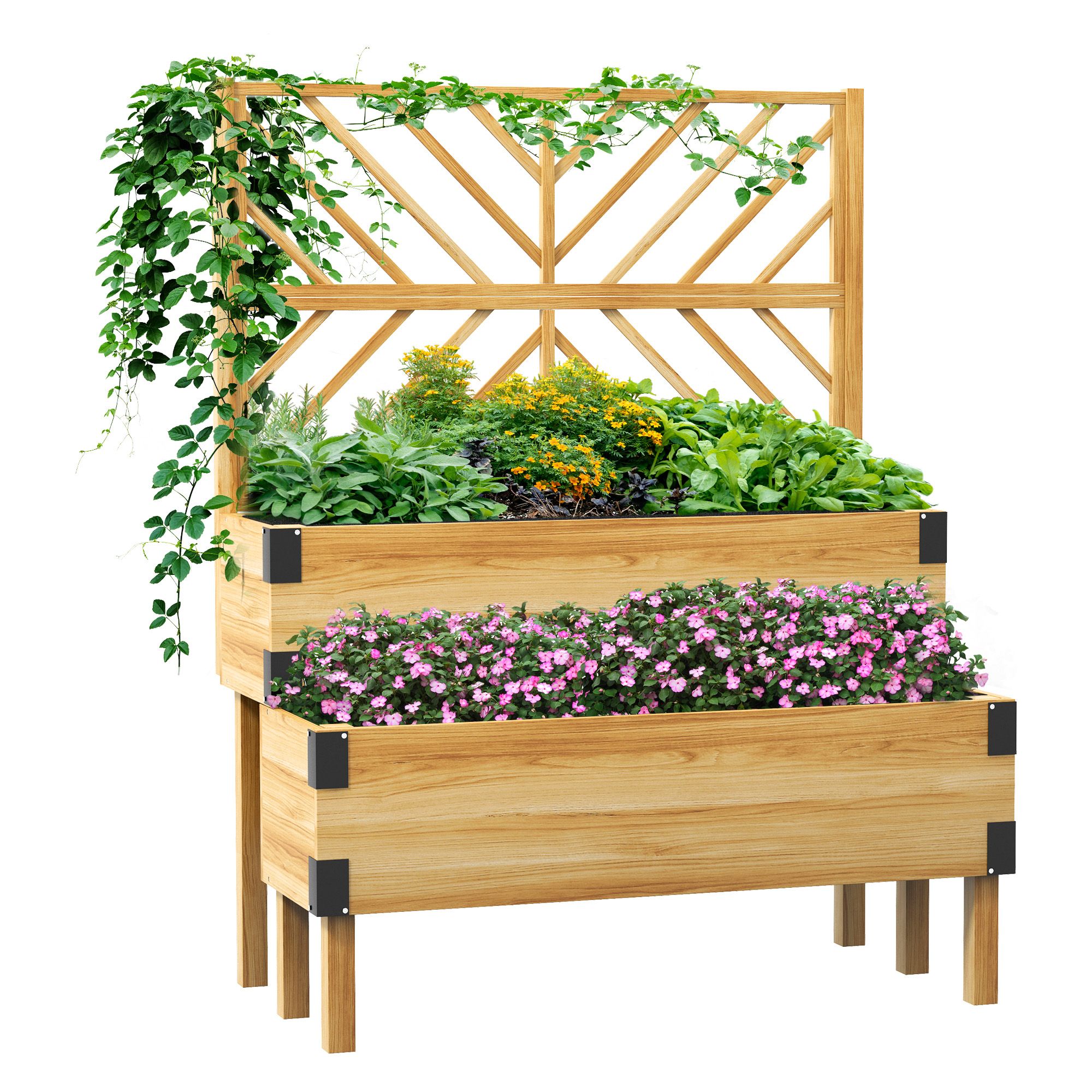 2 Tier Raised Garden Bed with Trellis