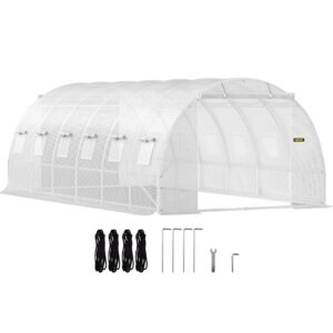 20 x 10 x 7 ft Walk-in Tunnel Greenhouse, Portable Plant Hot House White